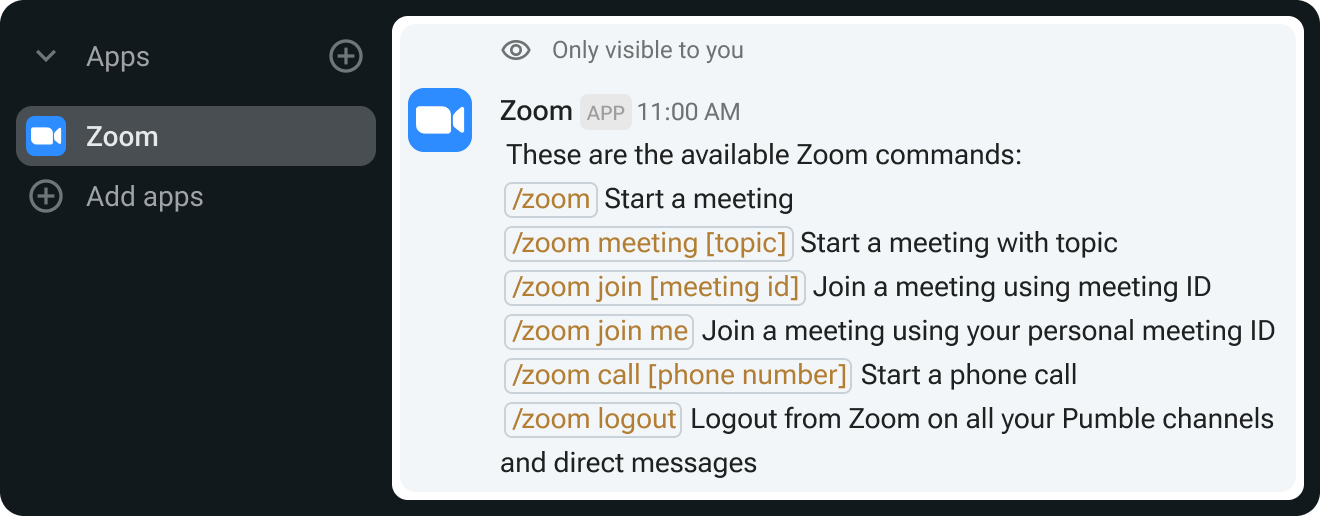 Use /zoom command to start the meeting