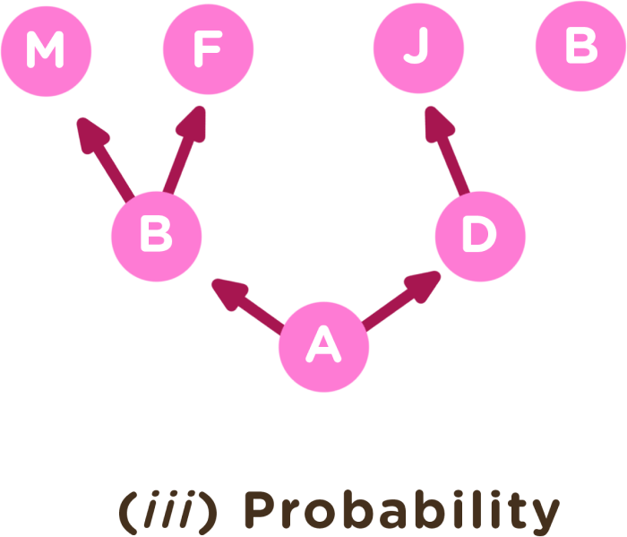 The visual representation of a probability chain