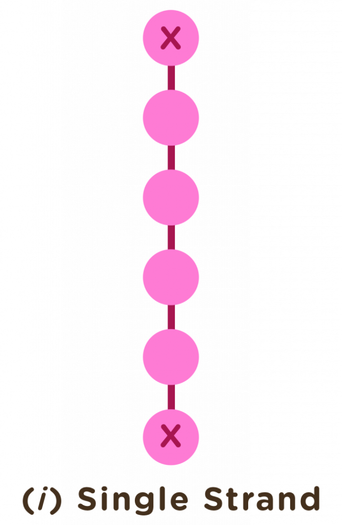 The visual representation of a single strand chain