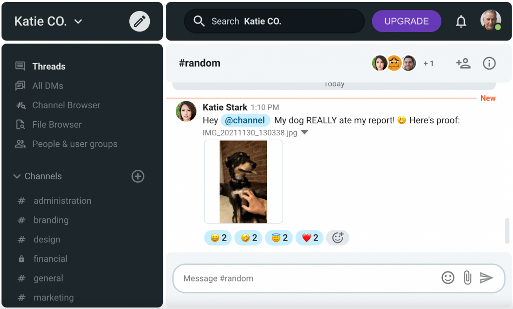 The #random channel in Pumble team chat app gives your team a chance to discuss casual topics outside of business meetings
