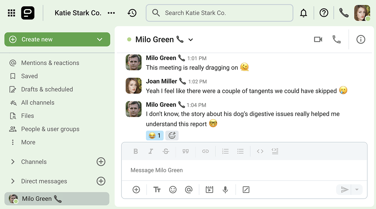 Coworkers discuss the sharing of anecdotes in a meeting on Pumble, the business messaging app

