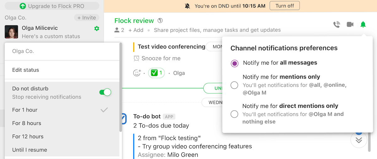 Channel muting and Do Not Disturb mode in Flock