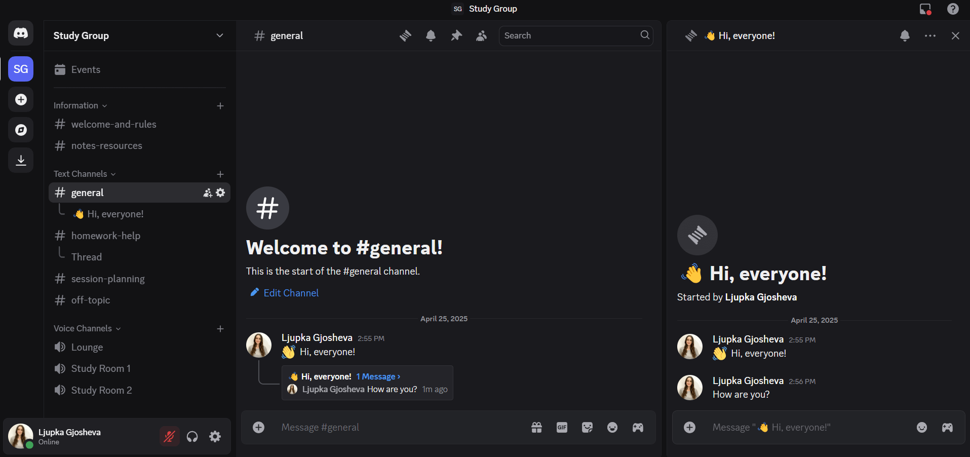 Discord's interface