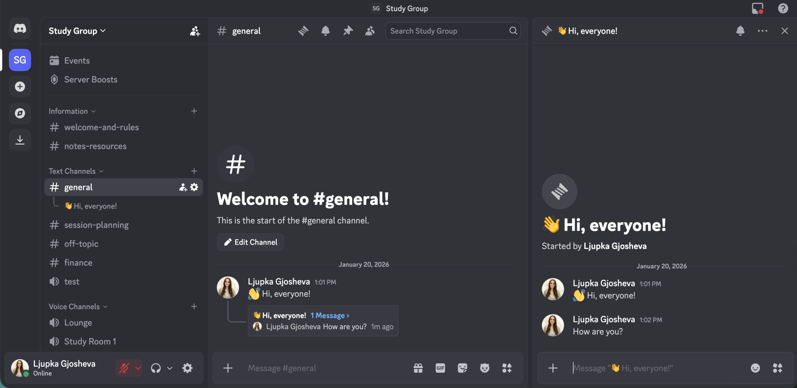 Discord’s interface