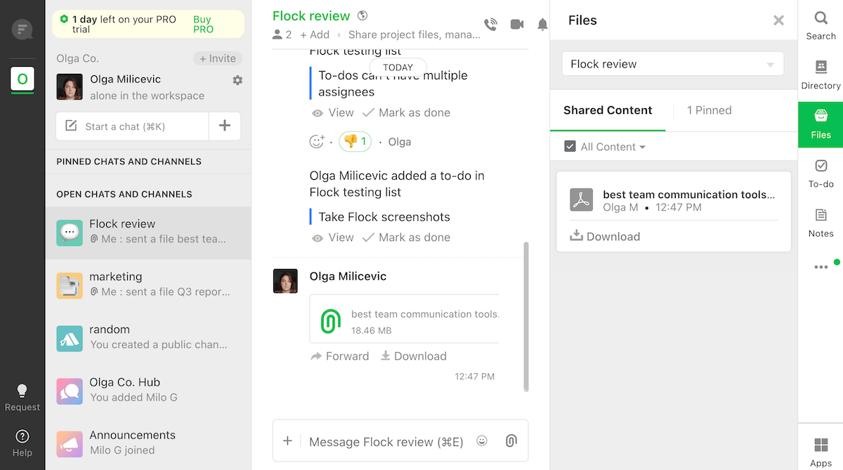 Files in Flock