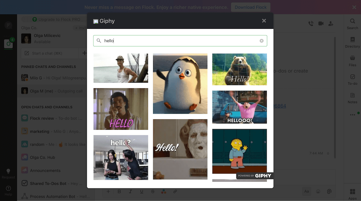 GIF selection in Flock