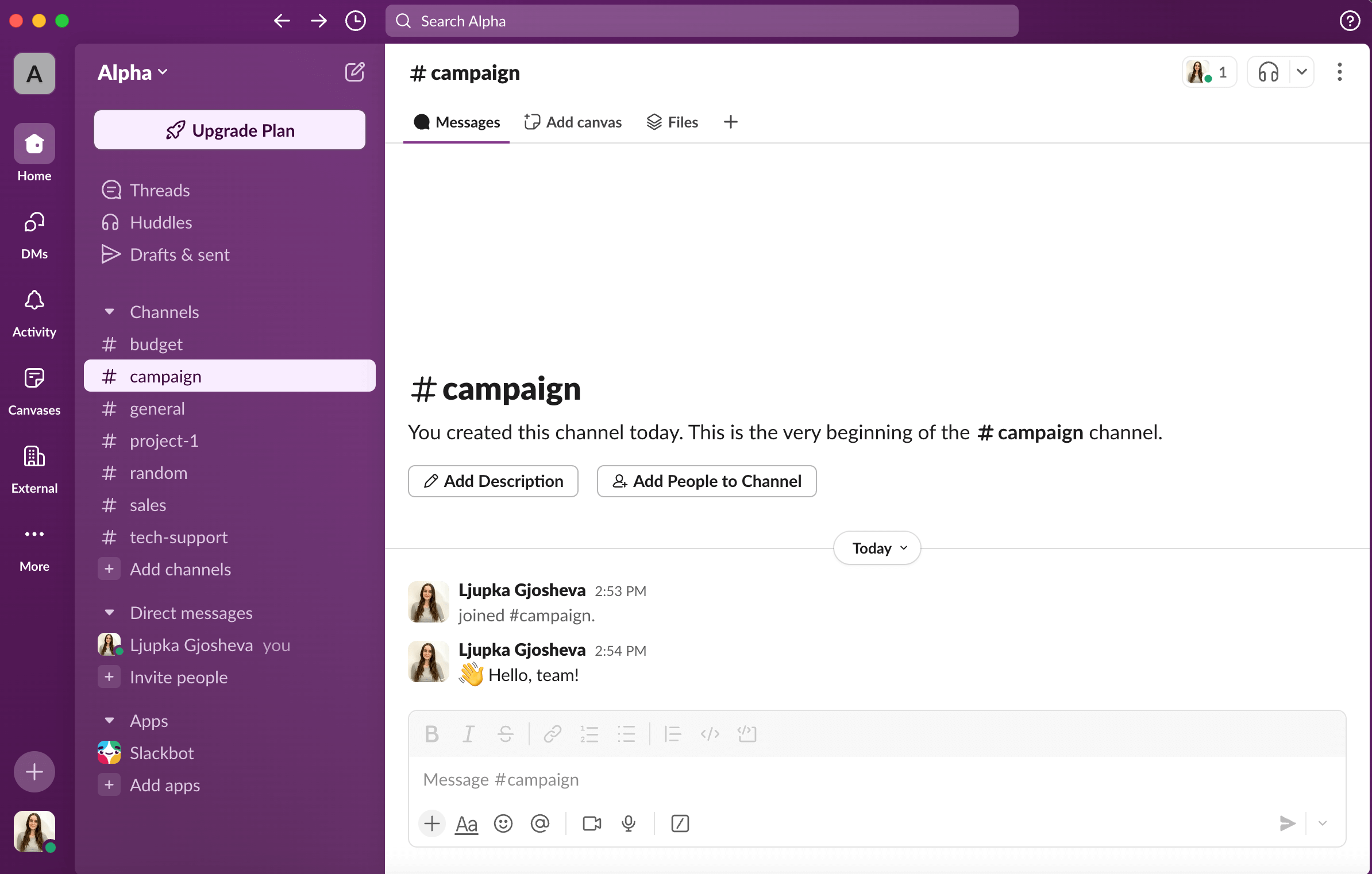 Slack's interface