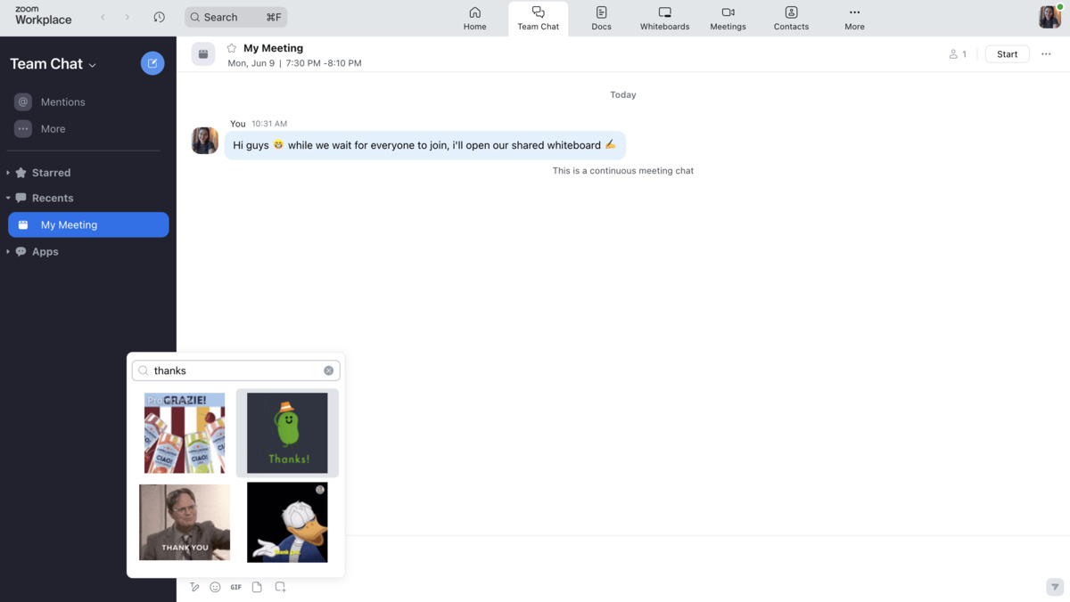Using GIFs in Zoom