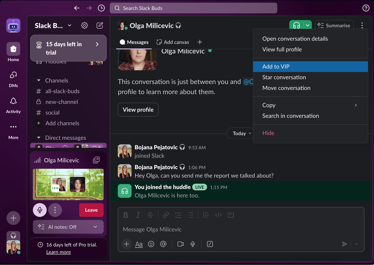You can add other Slack users to a VIP list so their messages always come through