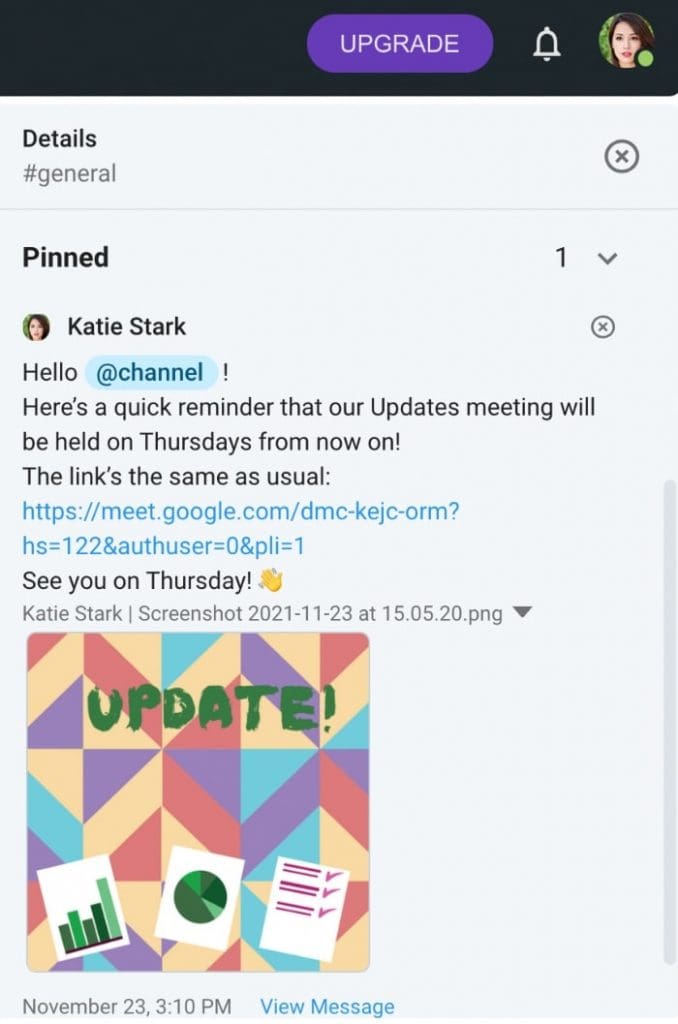 An example of a pinned important message in Pumble, a business messaging app