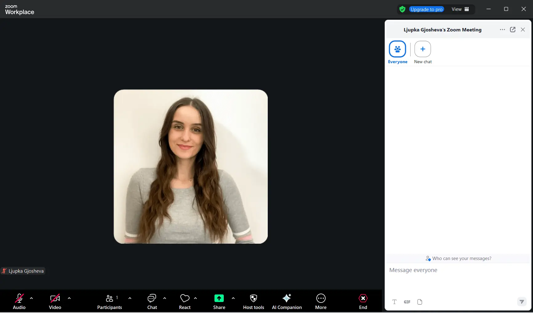In-call messaging in Zoom