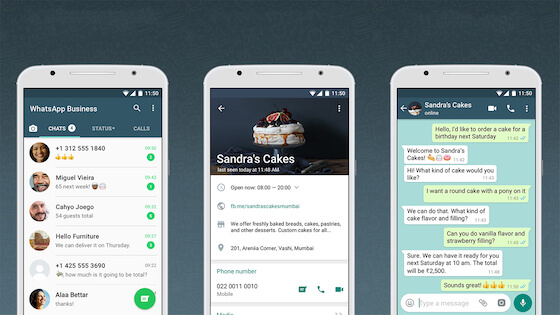 WhatsApp Business App's interface