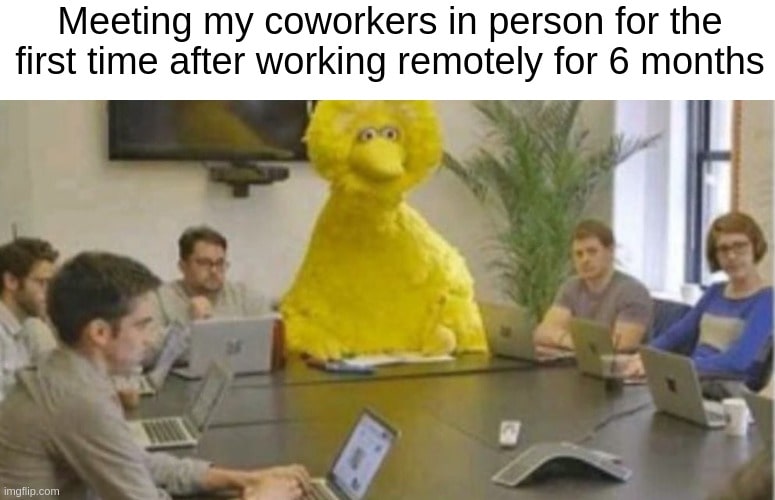 general work from home memes meeting coworkers