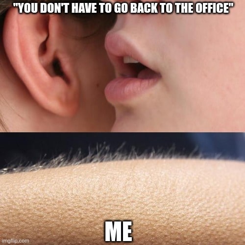 general work from home memes return to the office