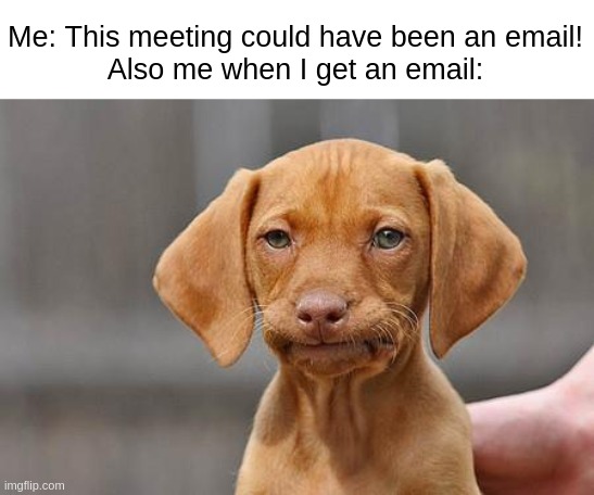 work from home email memes when i get an email