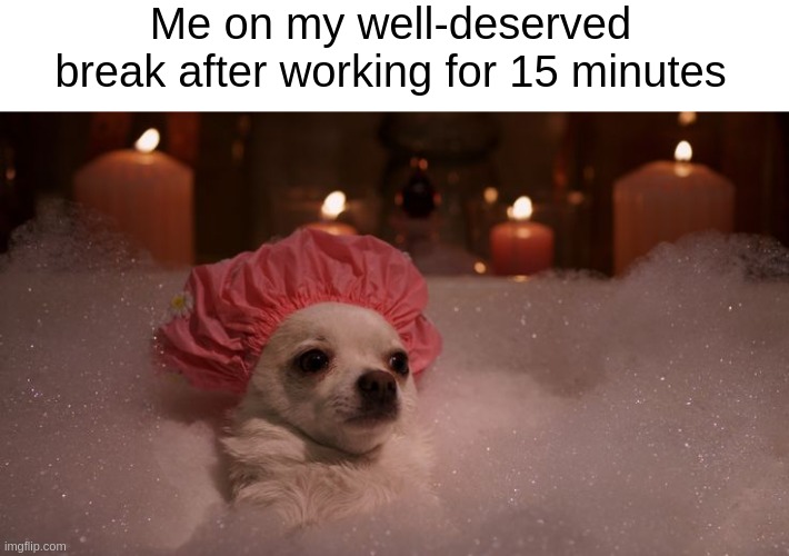 work from home procrastination memes well deserved break