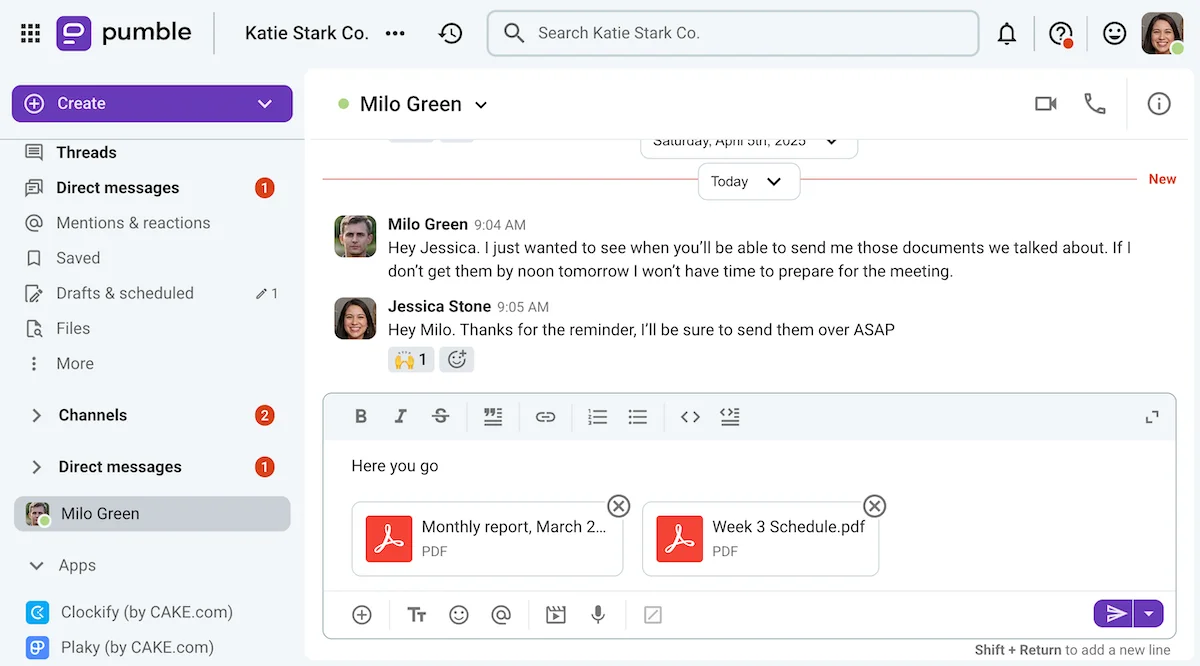 Milo inquired about the documents he needs to prepare for a meeting on Pumble, a business messaging app
