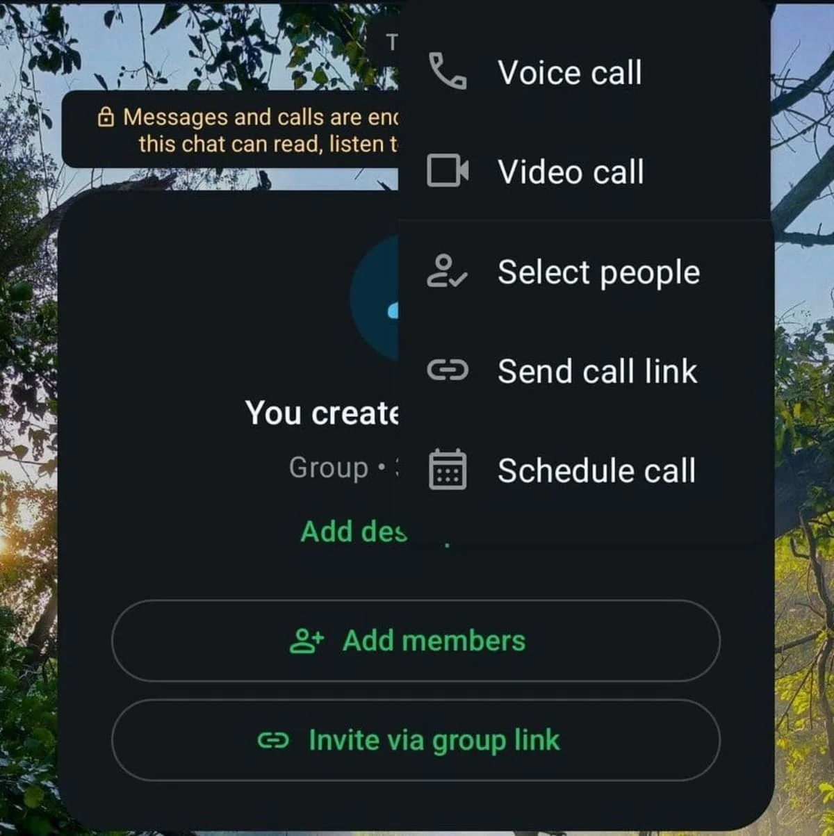 WhatsApp’s voice and video call options