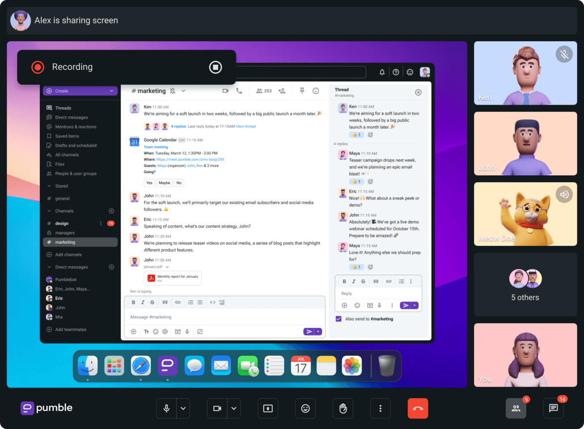 Make voice and video calls in Pumble