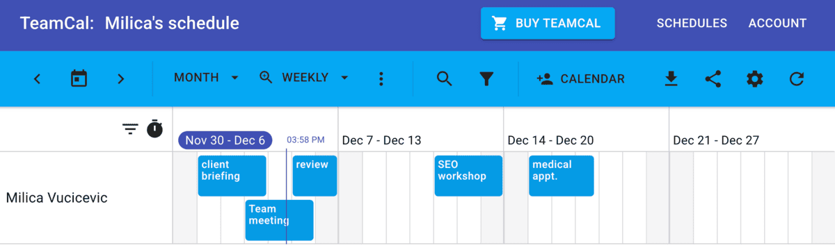 TeamCal’s interface