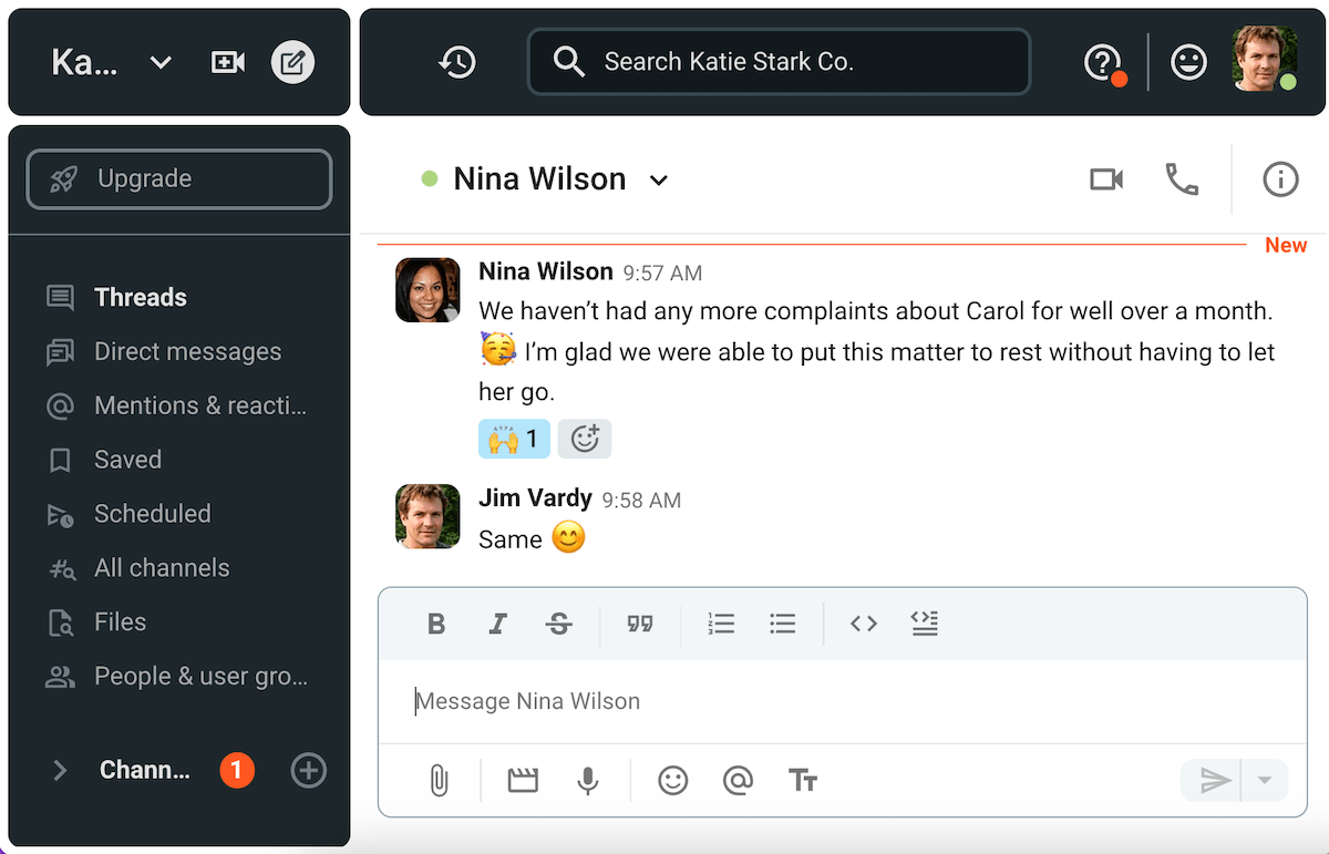 Nina talks to an HR employee about successfully concluding Carol’s disciplinary process on Pumble, a team communication app

