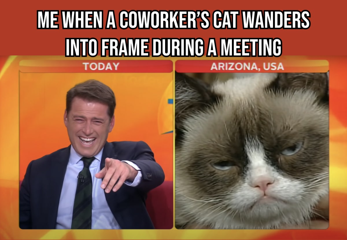 me when a coworker's cat wanders into frame during a meeting-min