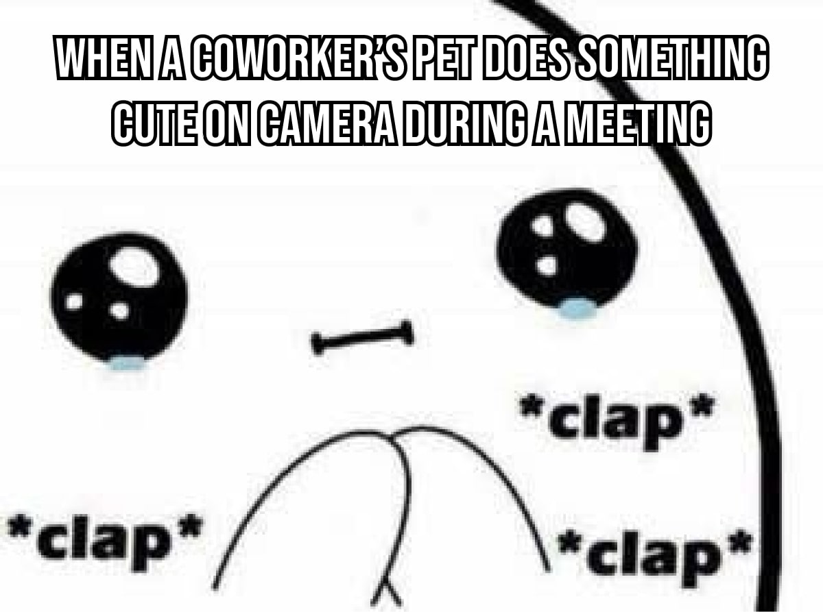 when a coworker’s pet does something cute on camera during a meeting-min
