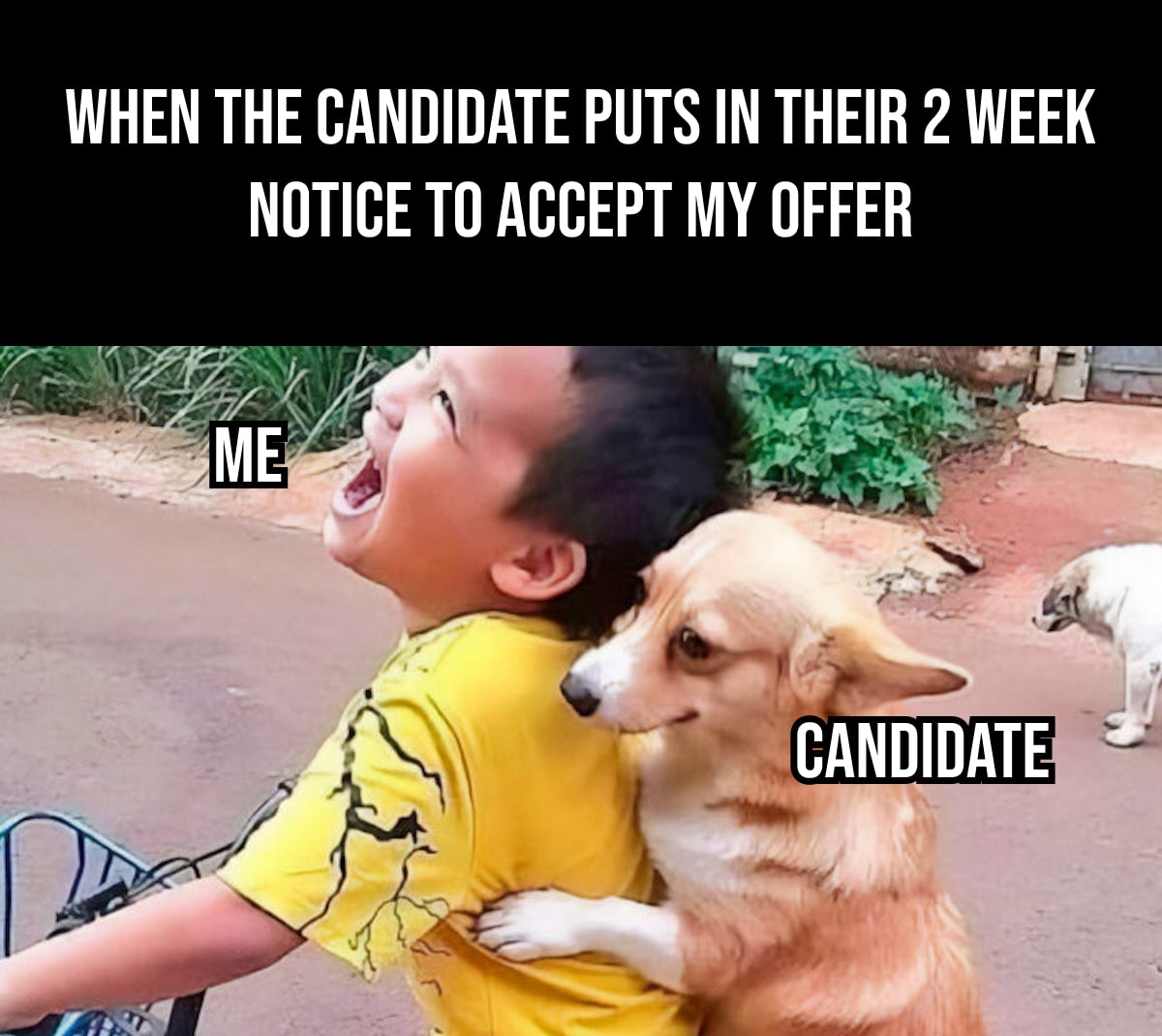 when the candidate puts in their 2 week notice to accept my offer-min