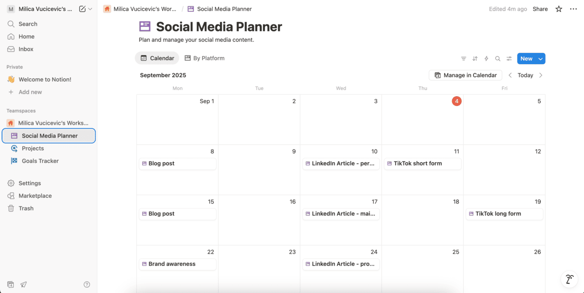 Notion calendar view