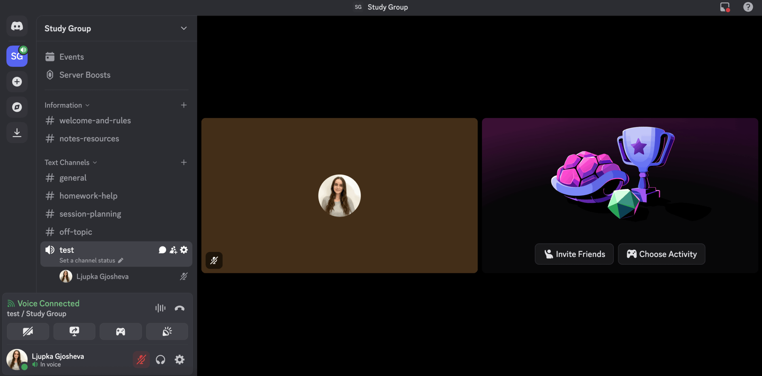 A call in a voice channel in Discord
