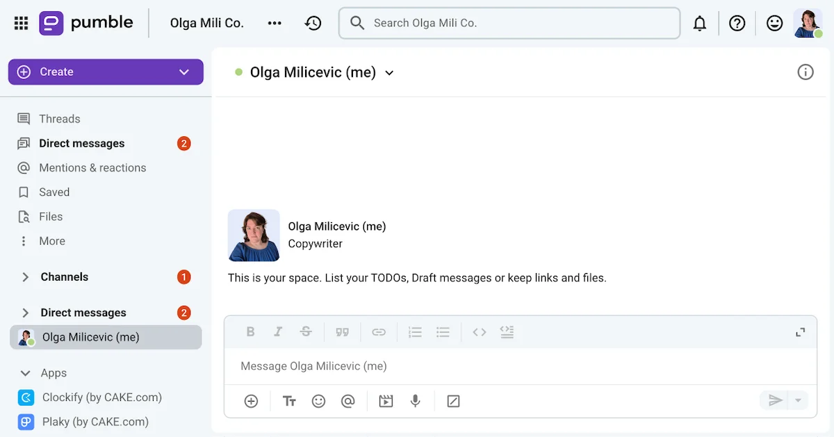 My usual user interface on Pumble, the team communication app