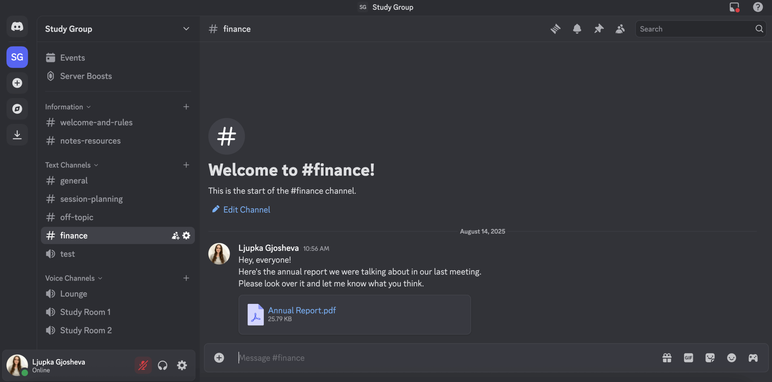 Sending a file in Discord