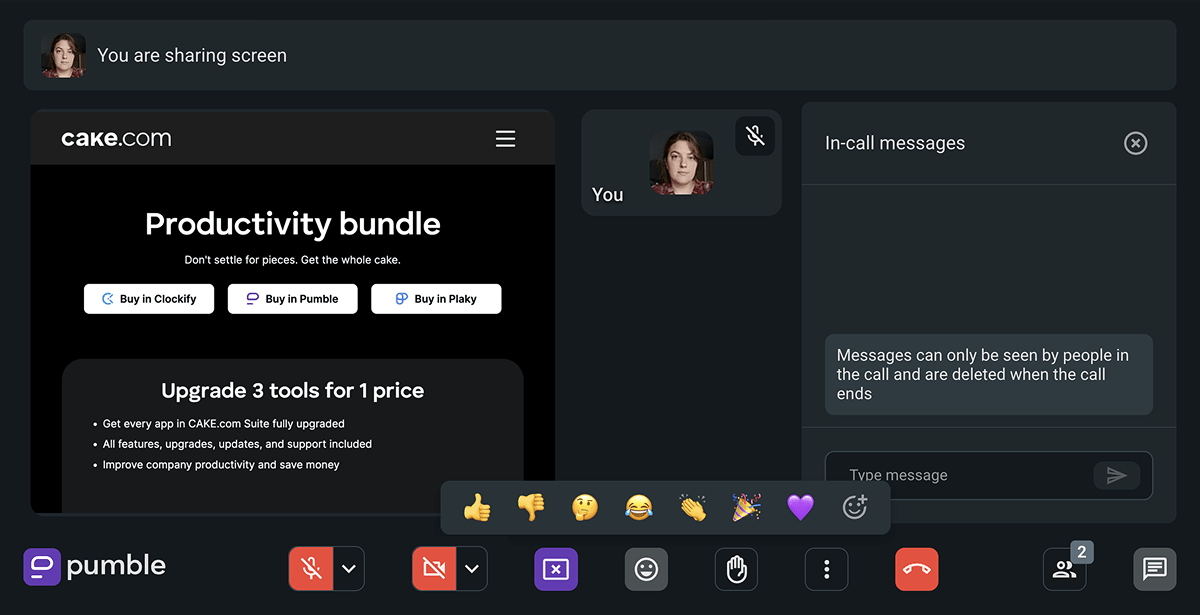Some of the video call features on Pumble, the team communication app