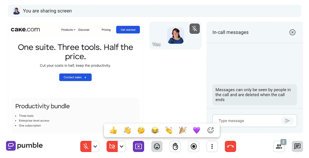 Some of the video call features on Pumble, the team communication app