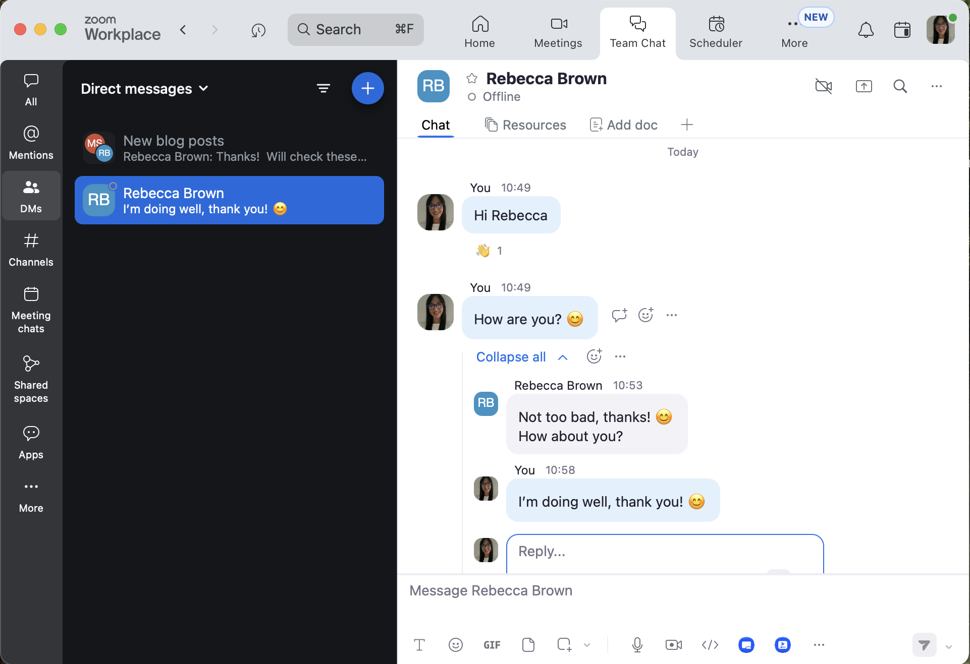 Zoom Team Chat interface