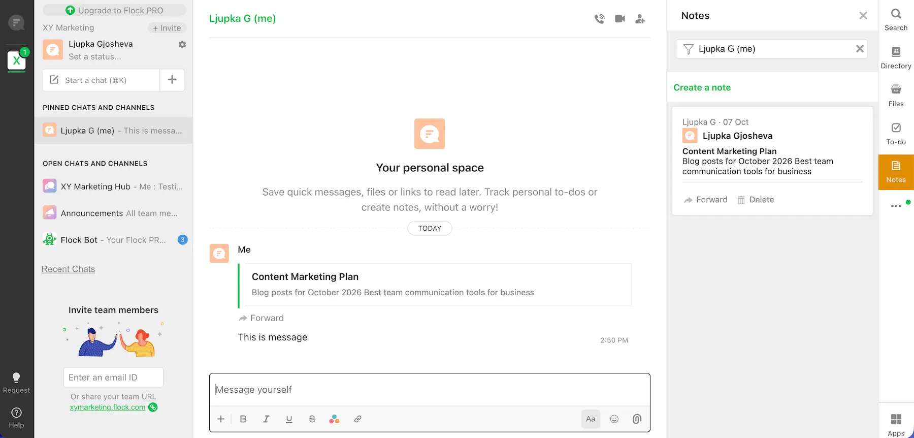 Messages and notes in Flock