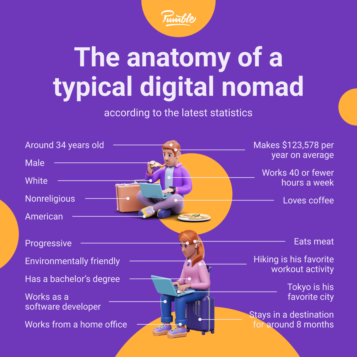 The anatomy of a typical digital nomad