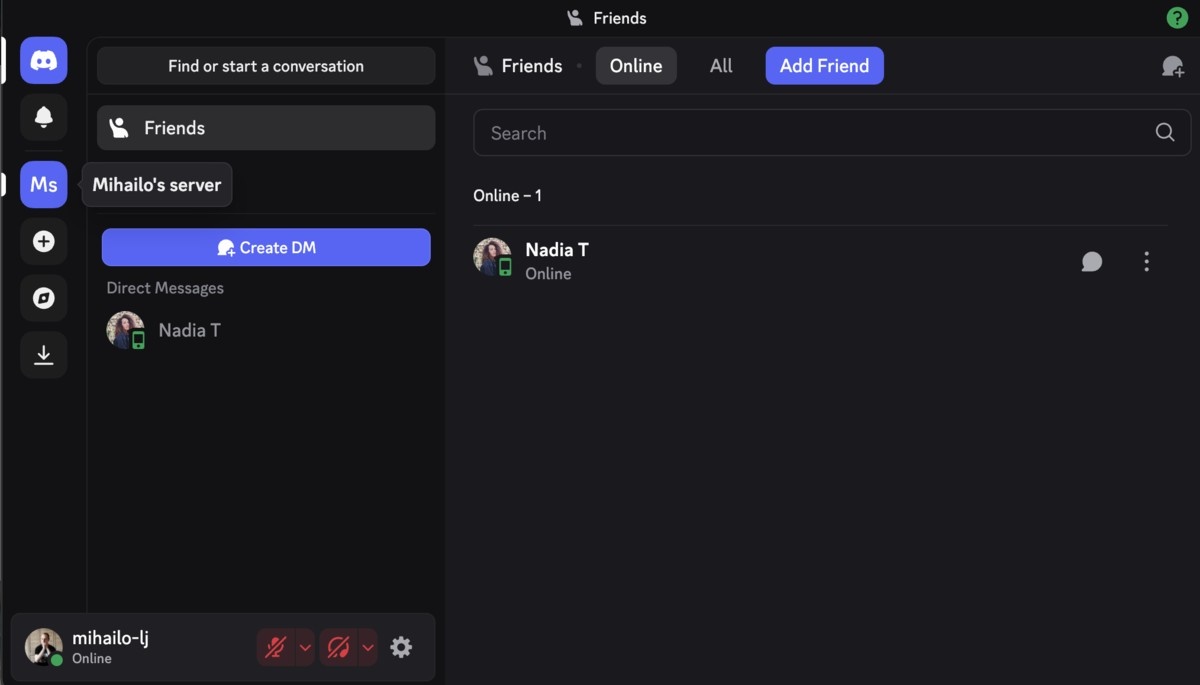 Interface de Discord
