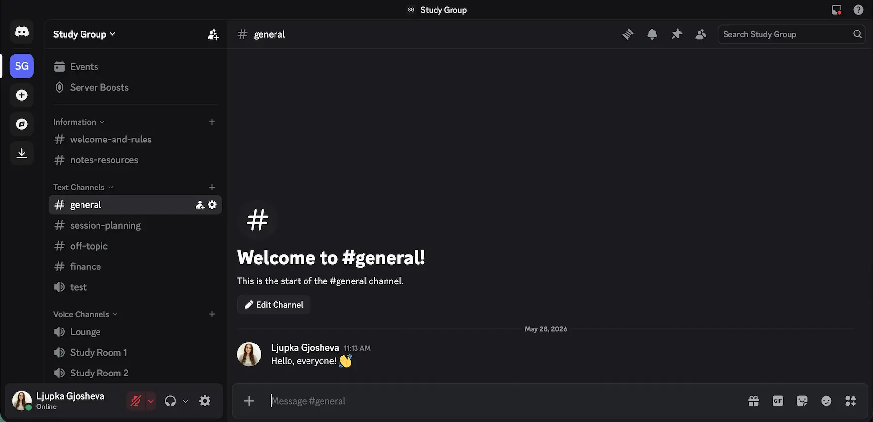 Interface Discord