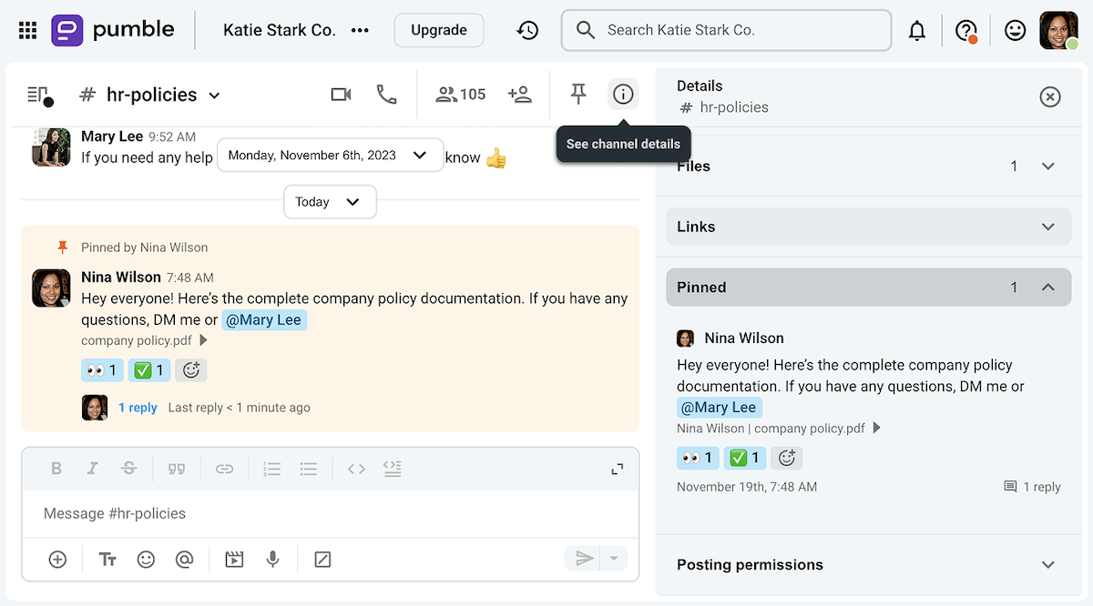 The #hr-policies channel details with files and pinned messages on Pumble, the team communication app
